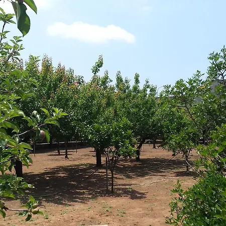 Bed & Breakfast Masseria San Dana *